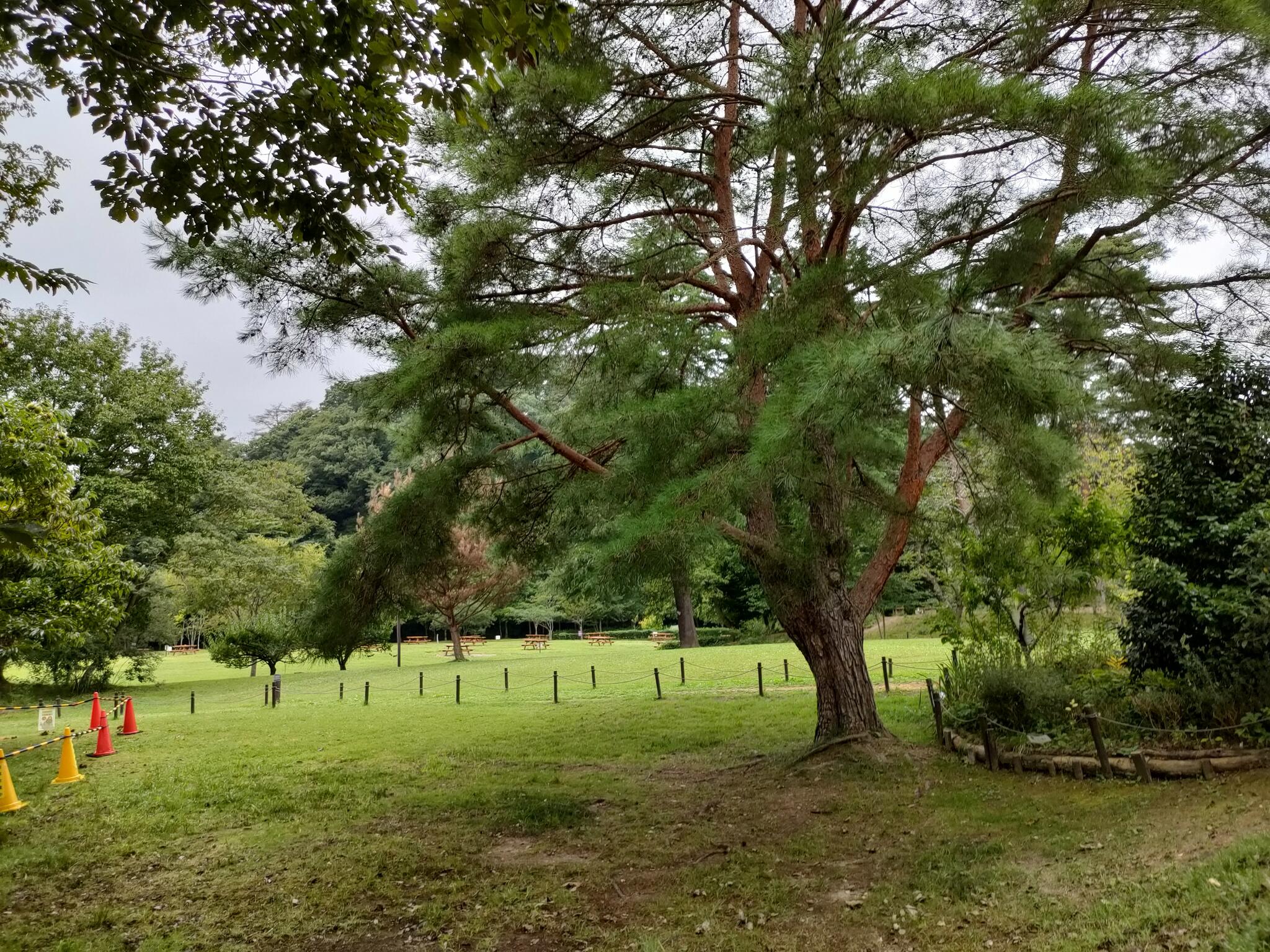 水の森公園キャンプ場の代表写真10