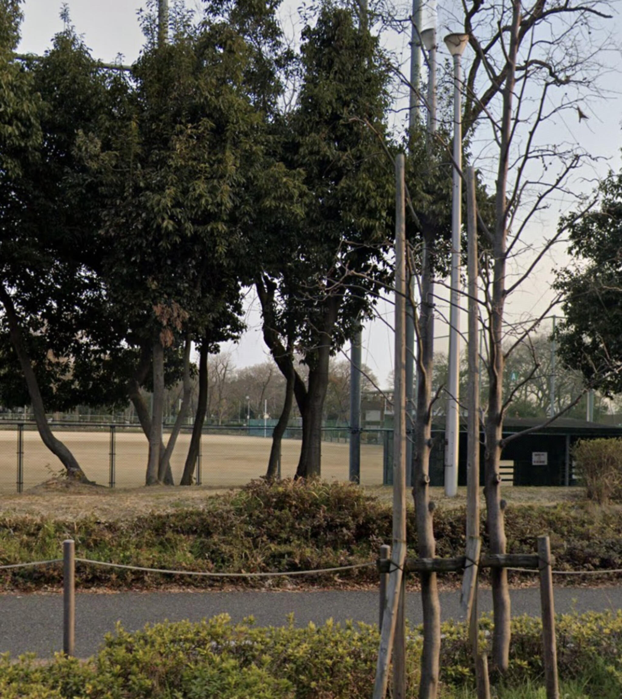 久宝寺緑地軟式野球場の代表写真7