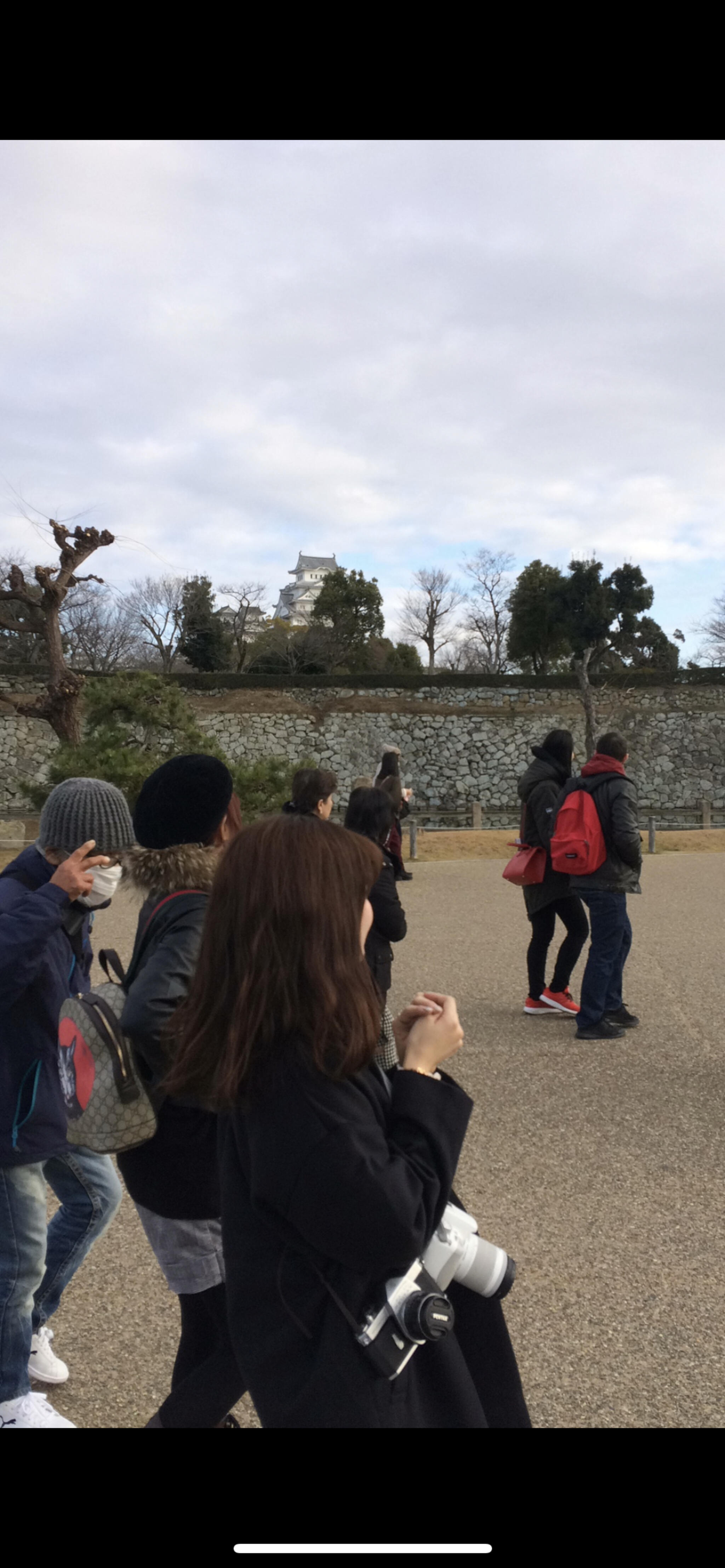 姫路城西御屋敷跡庭園 好古園の代表写真8