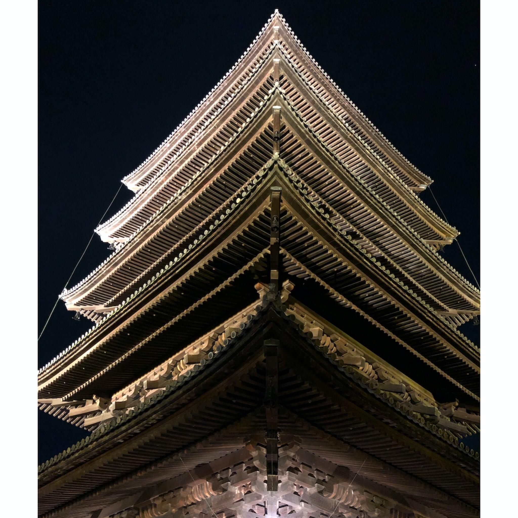 東寺の代表写真2