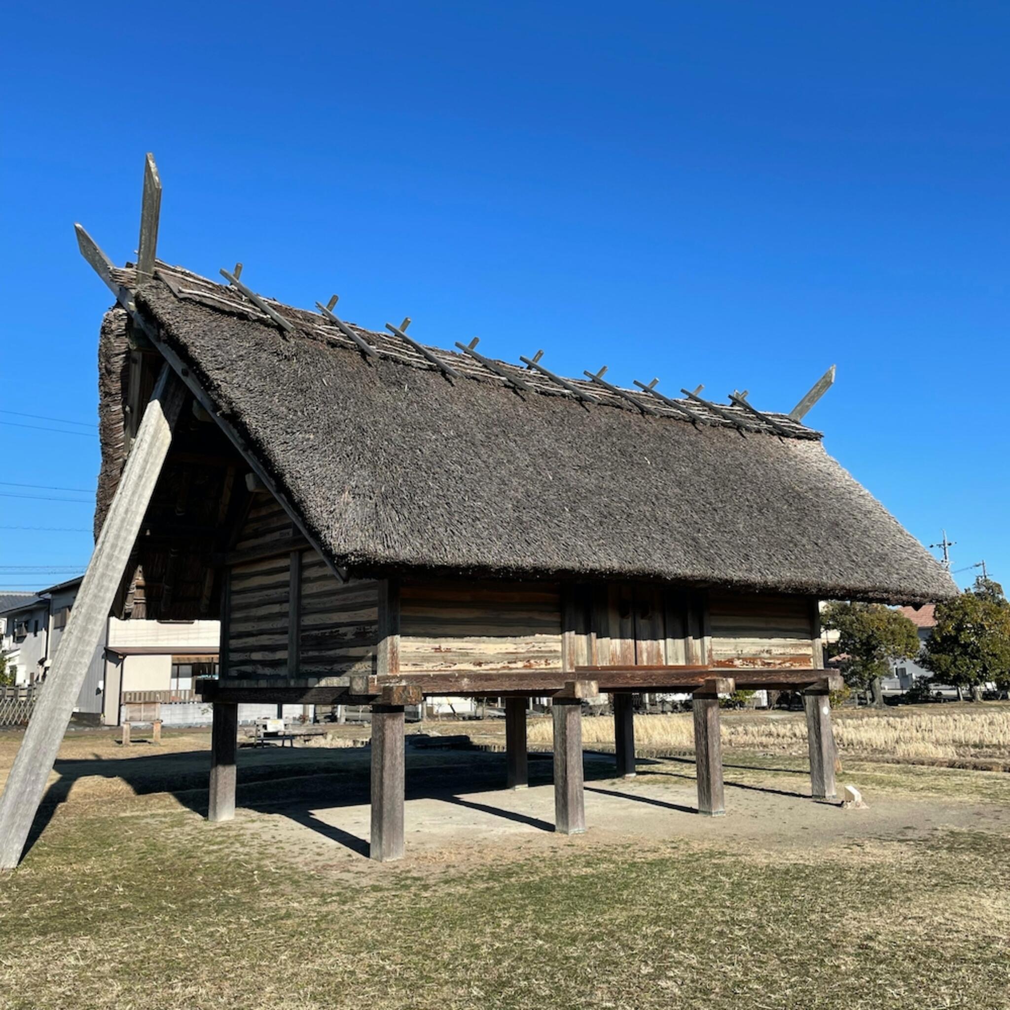 静岡市立登呂博物館の代表写真8