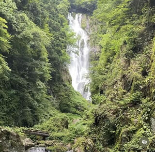 神庭の滝自然公園のクチコミ写真1