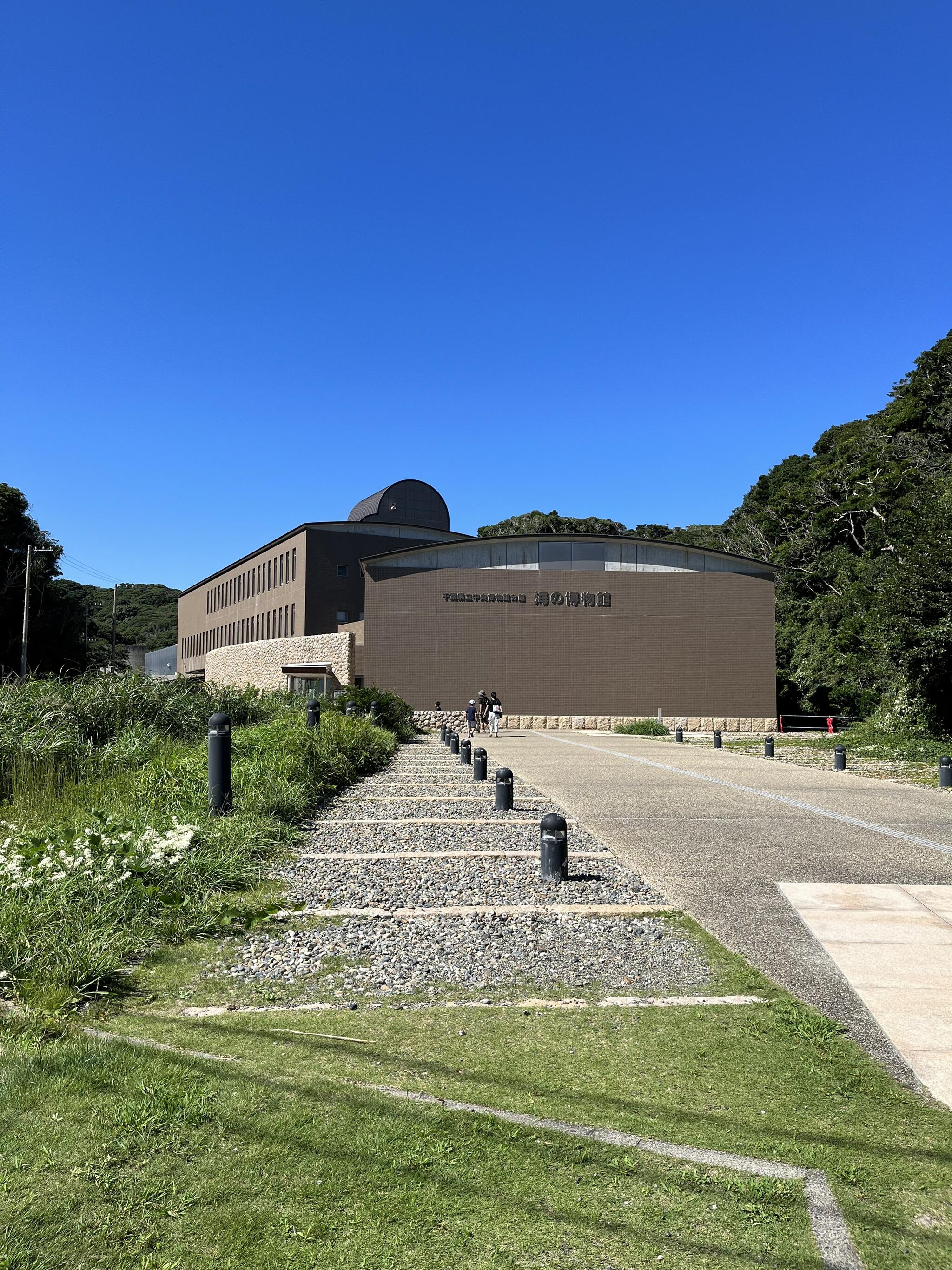 千葉県立中央博物館分館 海の博物館の代表写真7