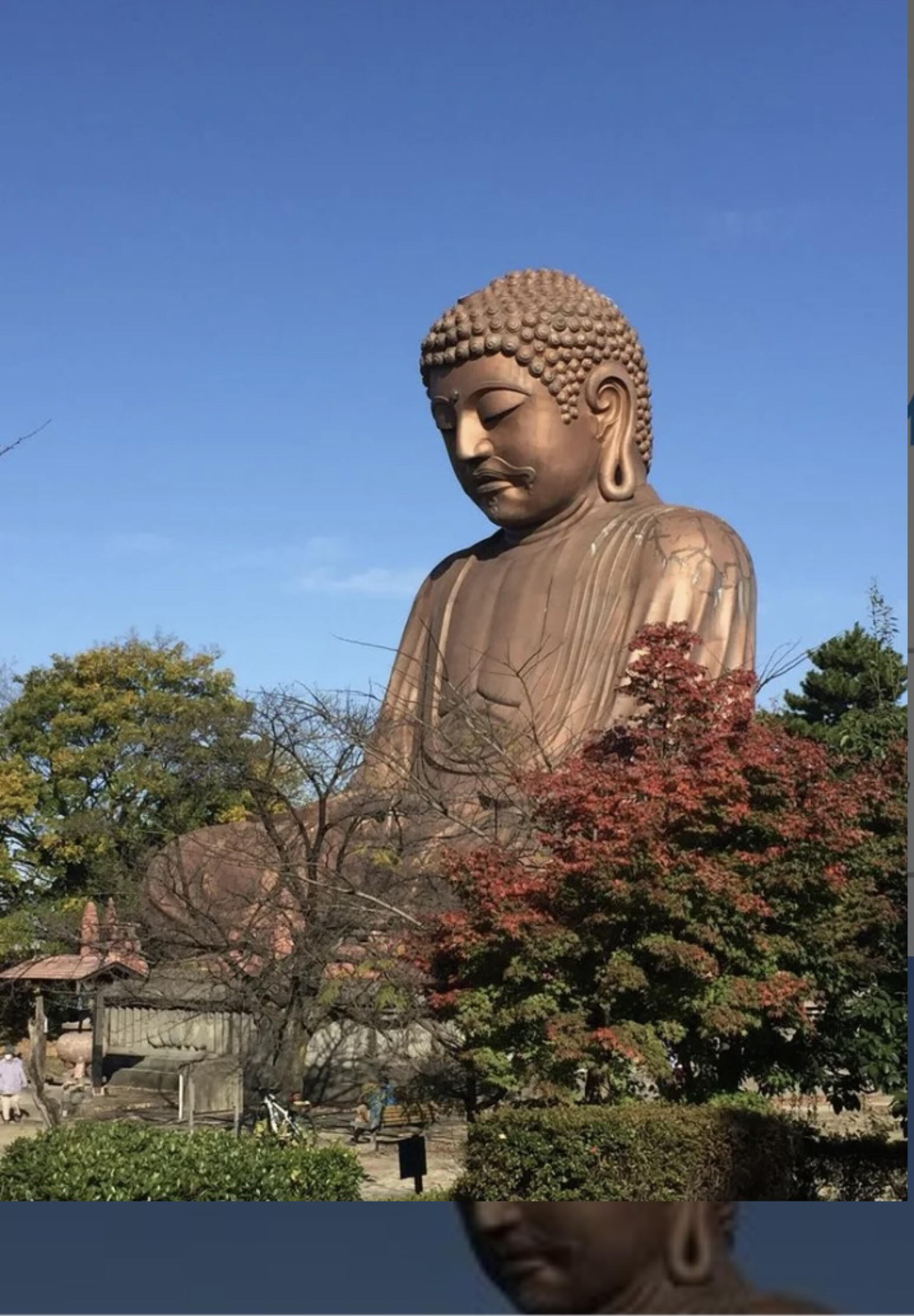 聚楽園大仏の代表写真8