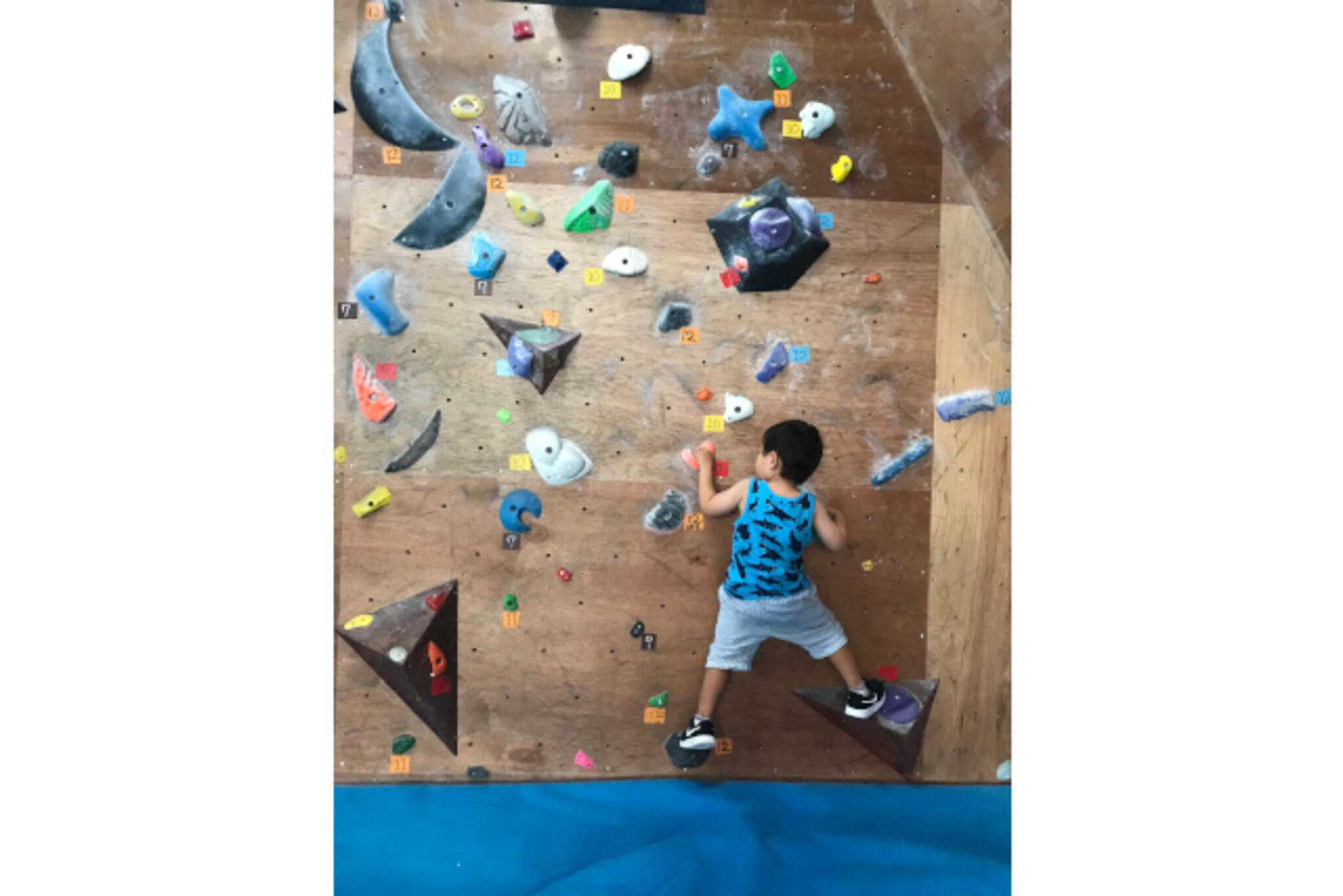 WAGOMU Climbing Gym(ワゴムクライミングジム)の代表写真2