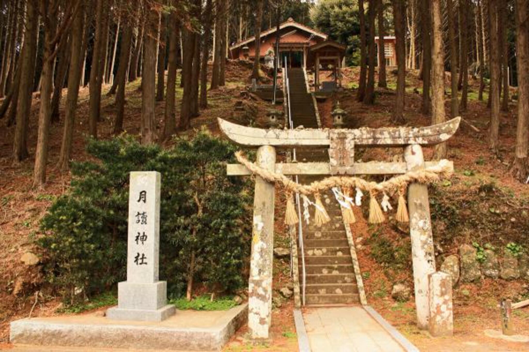 月讀神社の代表写真7