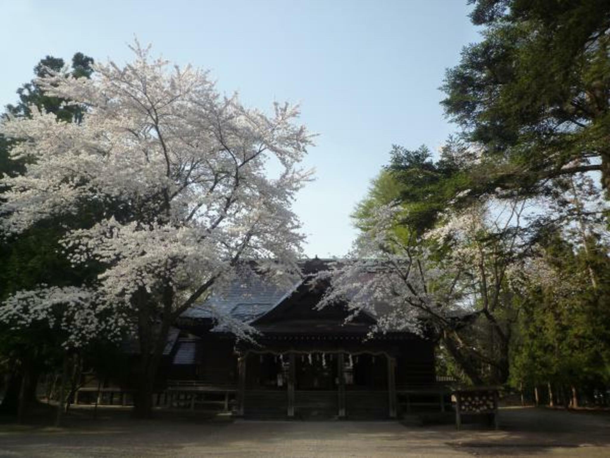 猿賀神社の代表写真7