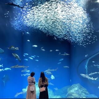 アクアワールド茨城県大洗水族館の写真2