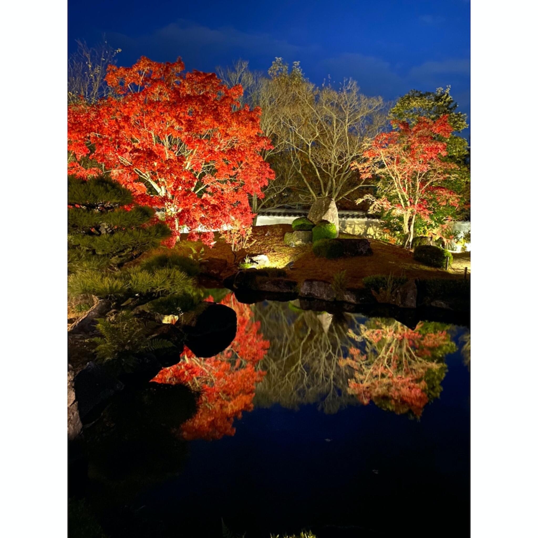 姫路城西御屋敷跡庭園 好古園の代表写真3