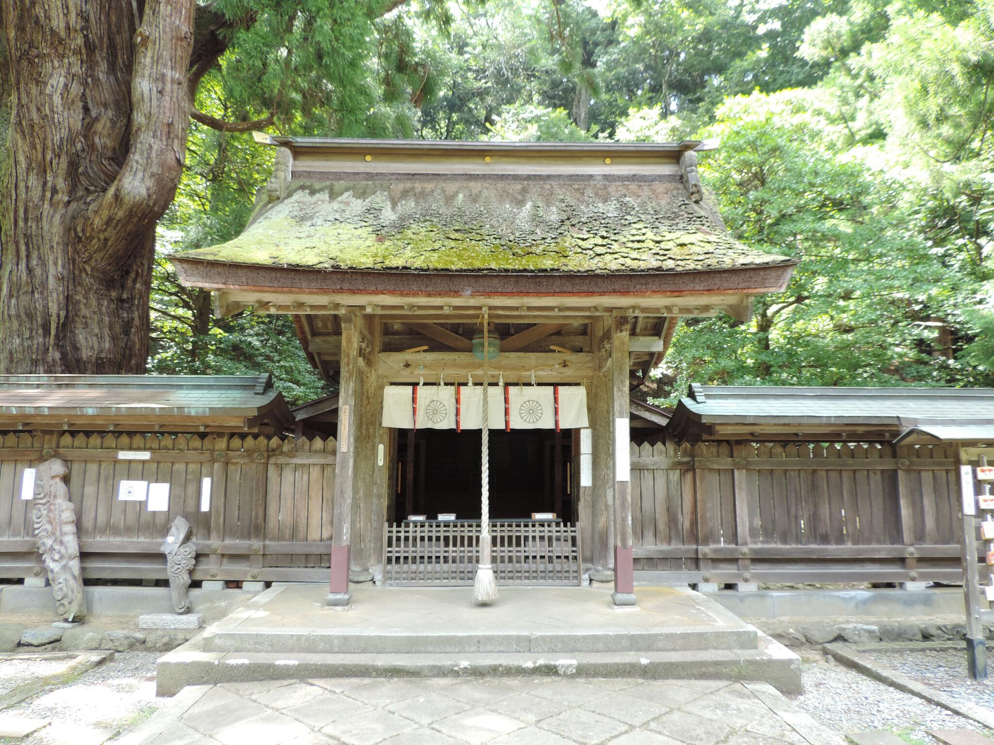 若狭彦神社・若狭姫神社の代表写真5