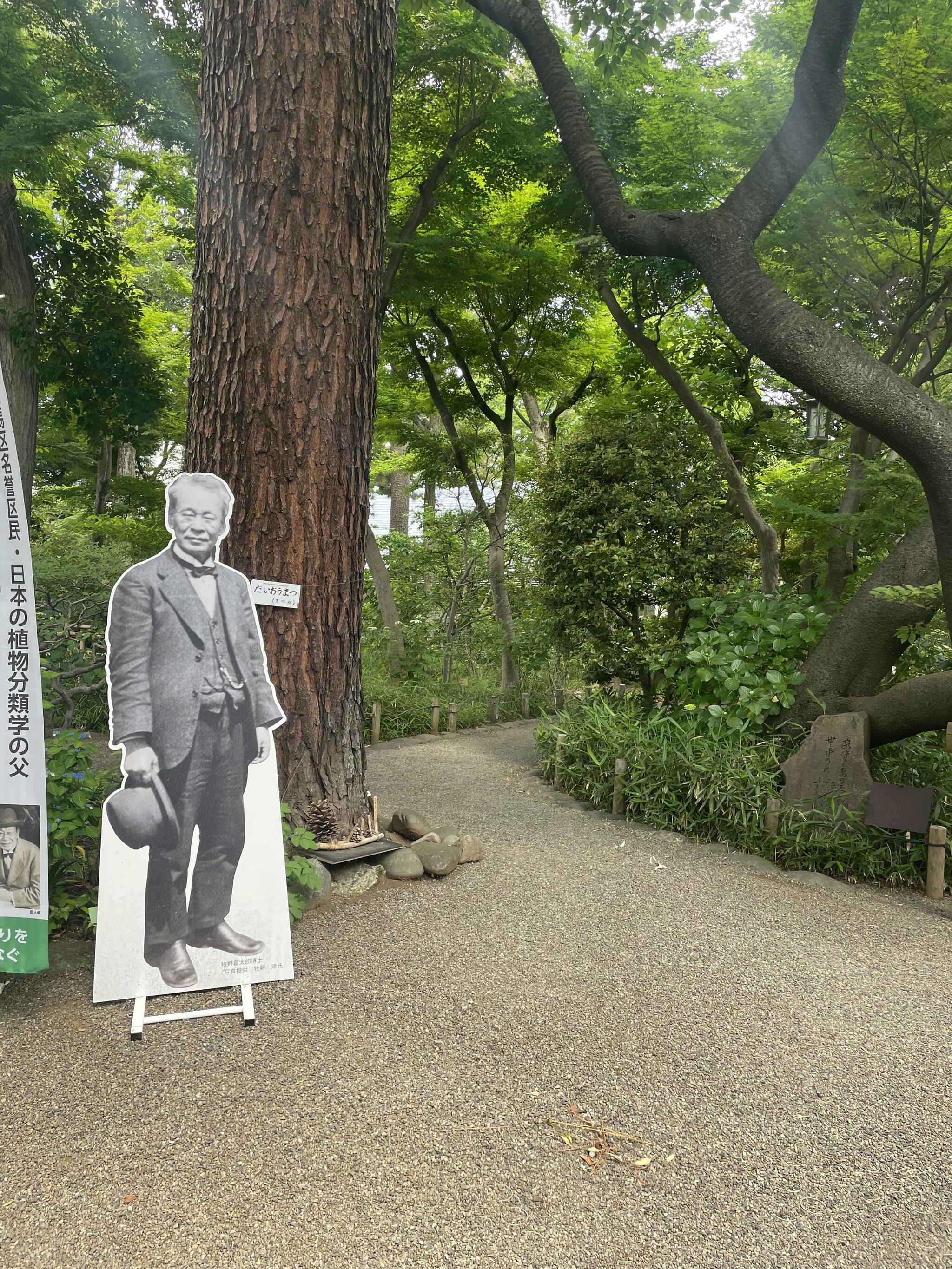 練馬区立牧野記念庭園の代表写真9