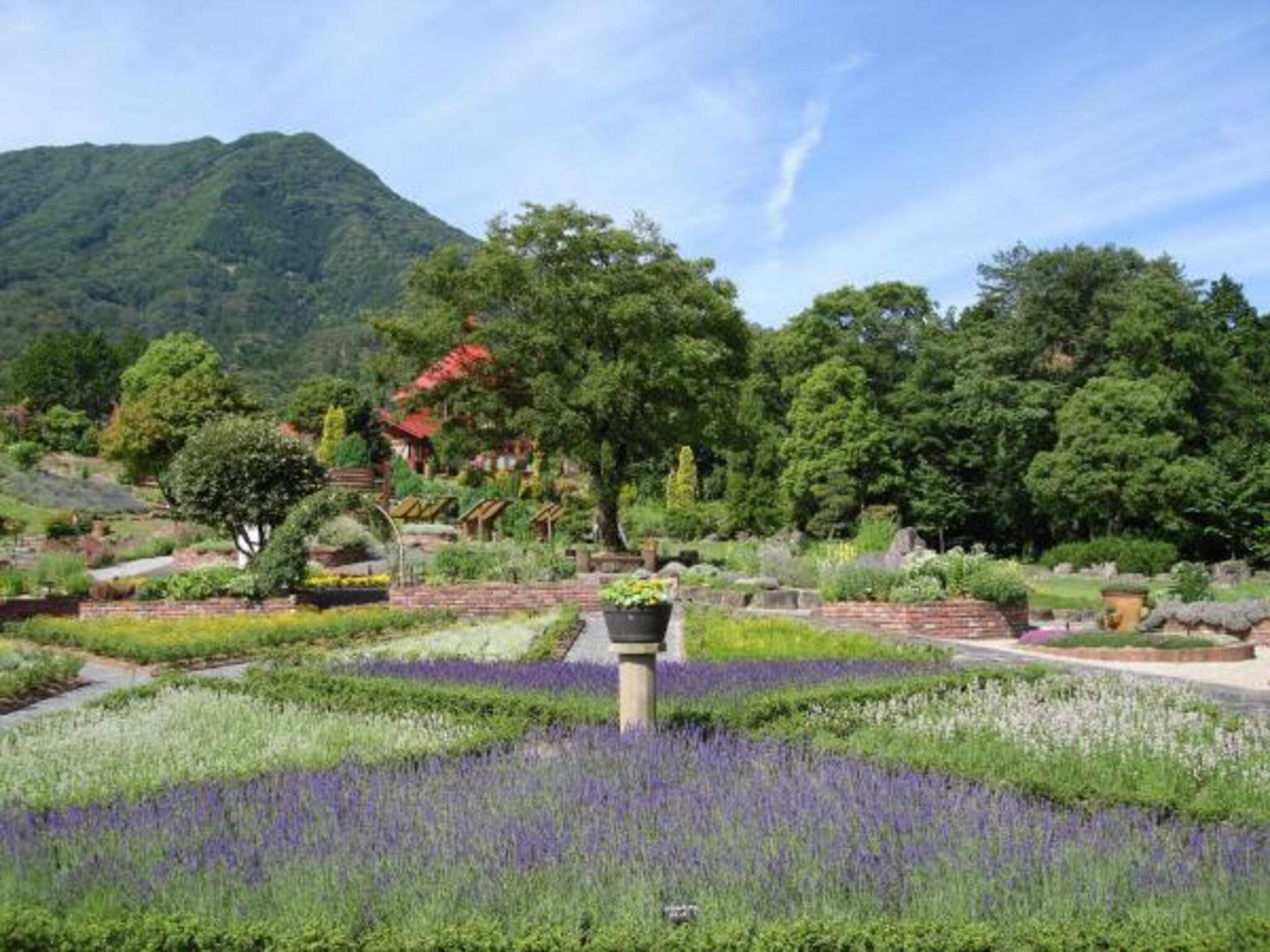 香木の森公園の代表写真1