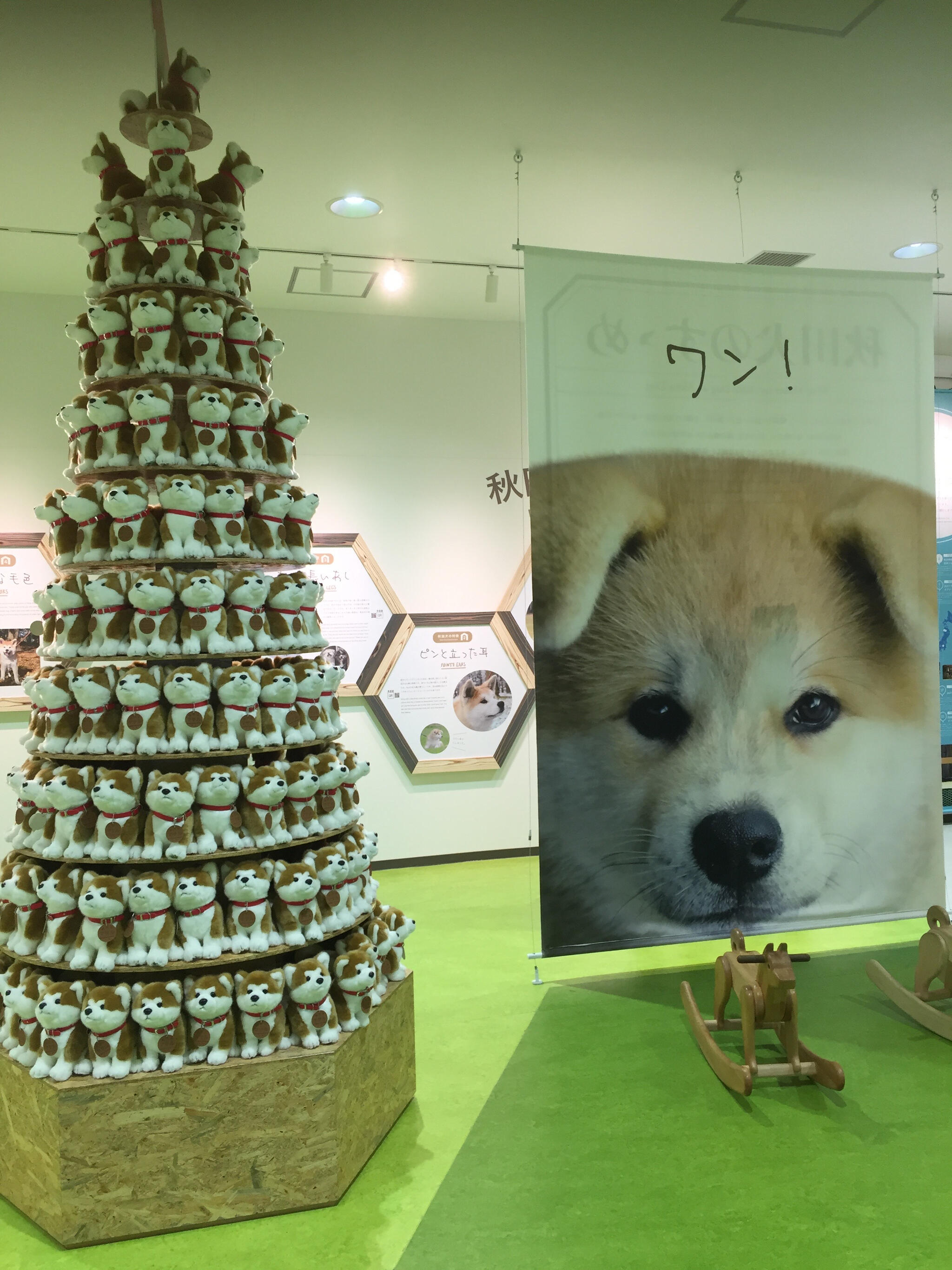 秋田犬会館の代表写真7