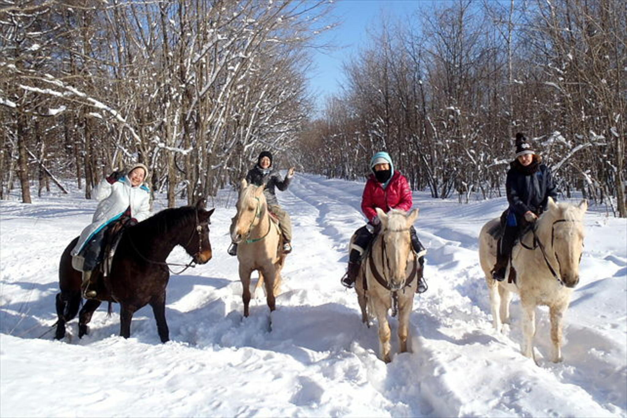 カナディアンキャンプ北海道 乗馬クラブリーフの代表写真4