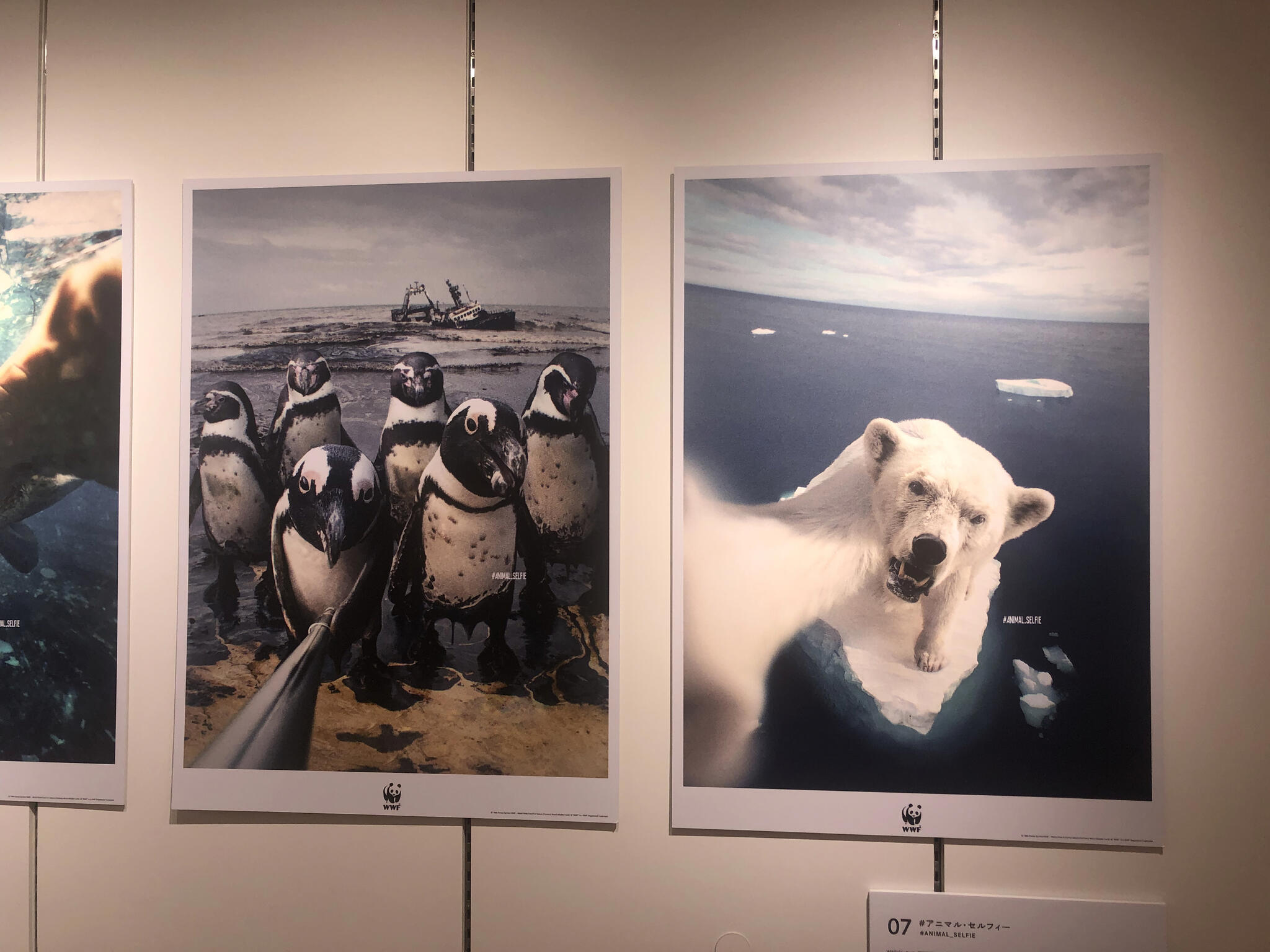 アド・ミュージアム東京の代表写真2