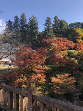 高源寺のクチコミ写真2