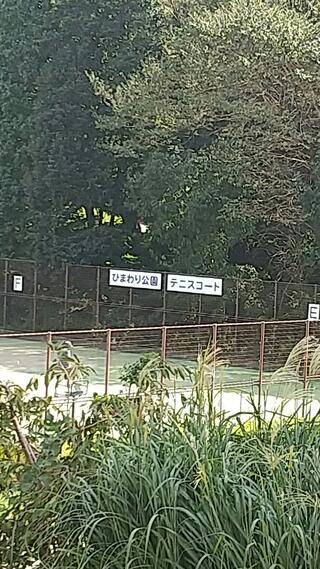 クチコミ : ひまわり公園テニスコート - 座間市入谷東/テニスコート | Yahoo!マップ