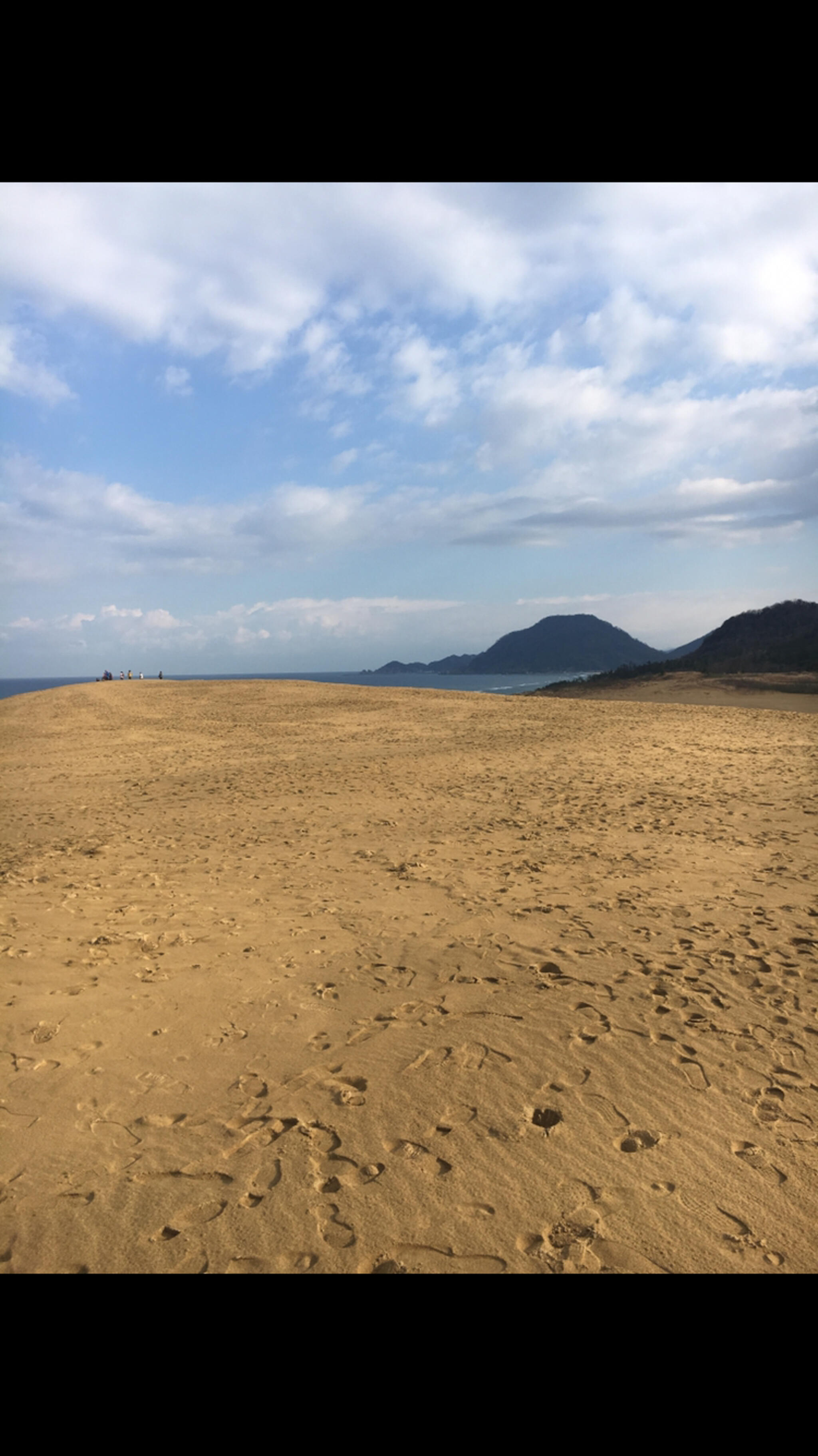 チュウブ鳥取砂丘こどもの国の代表写真2
