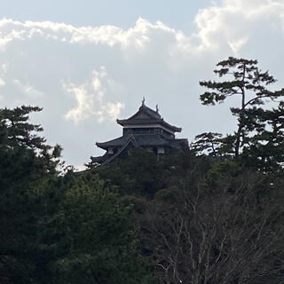 松江ホーランエンヤ伝承館の写真2
