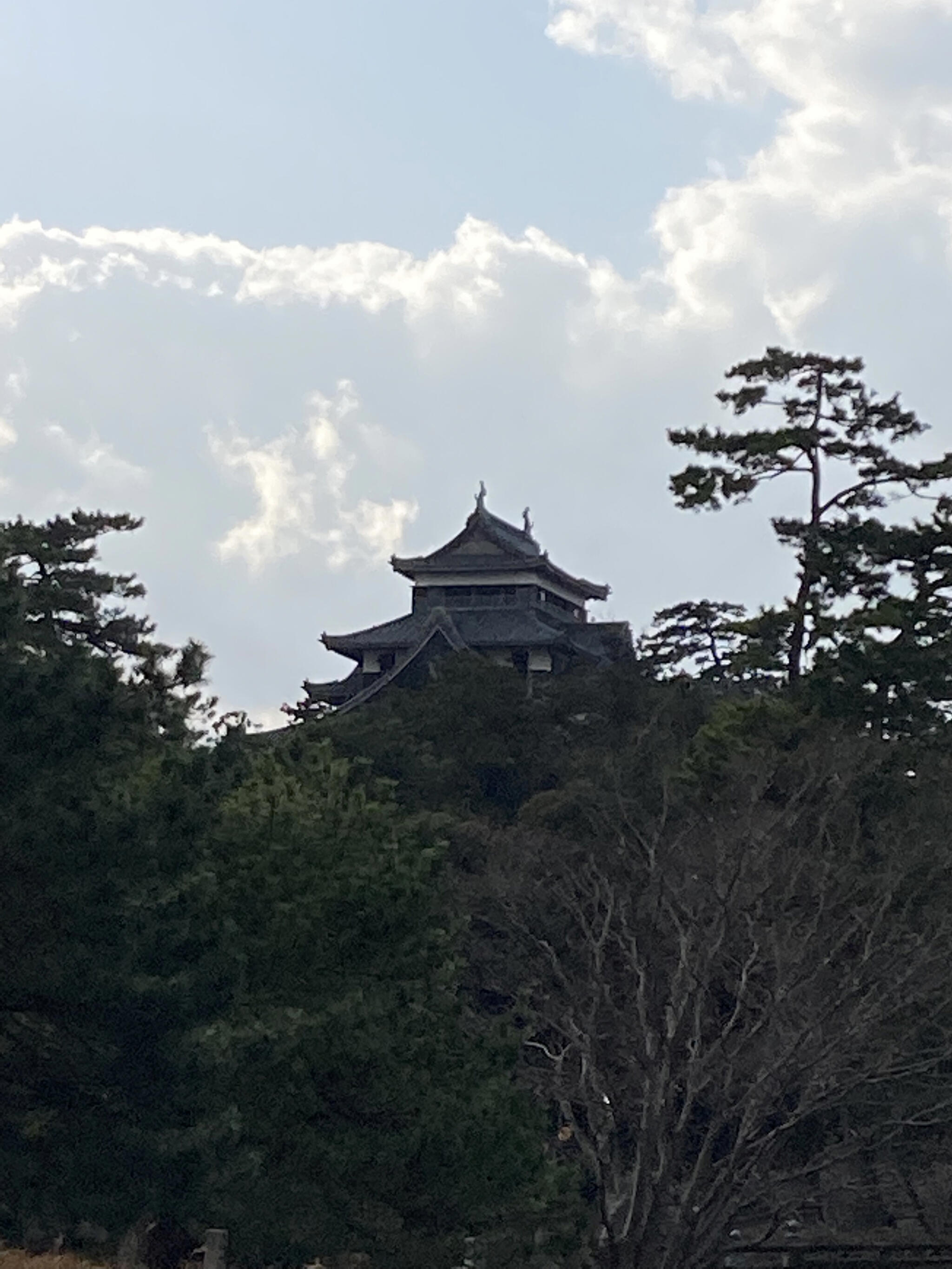 松江ホーランエンヤ伝承館の代表写真2