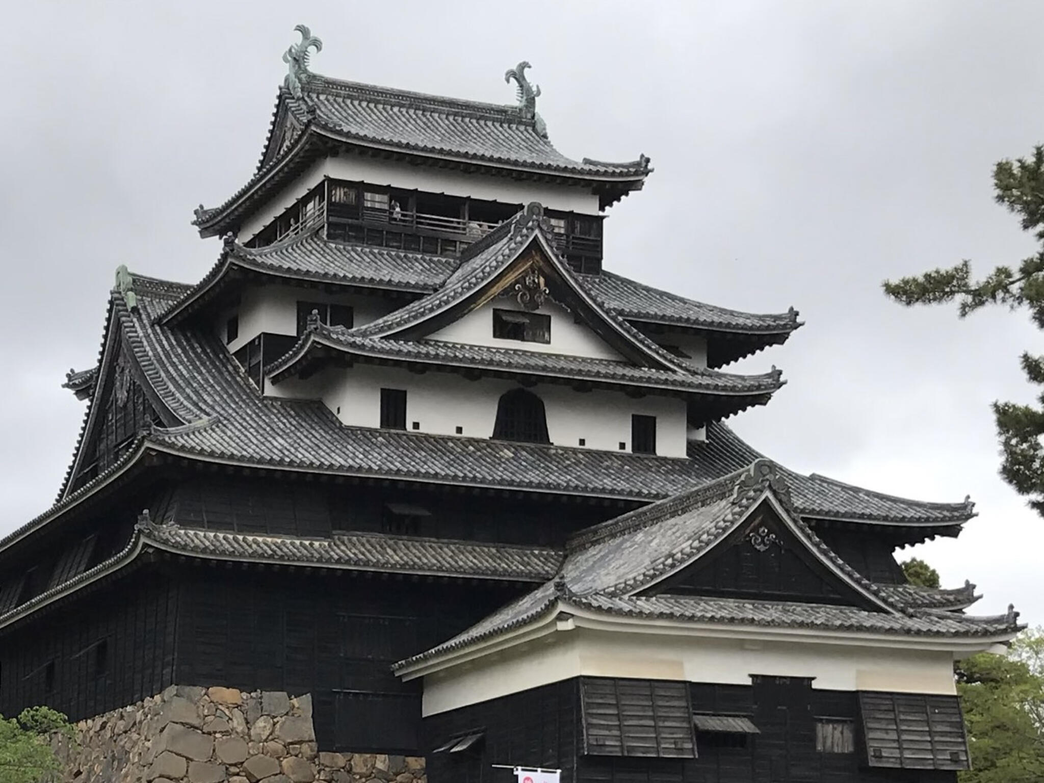 松江城山公園の代表写真6