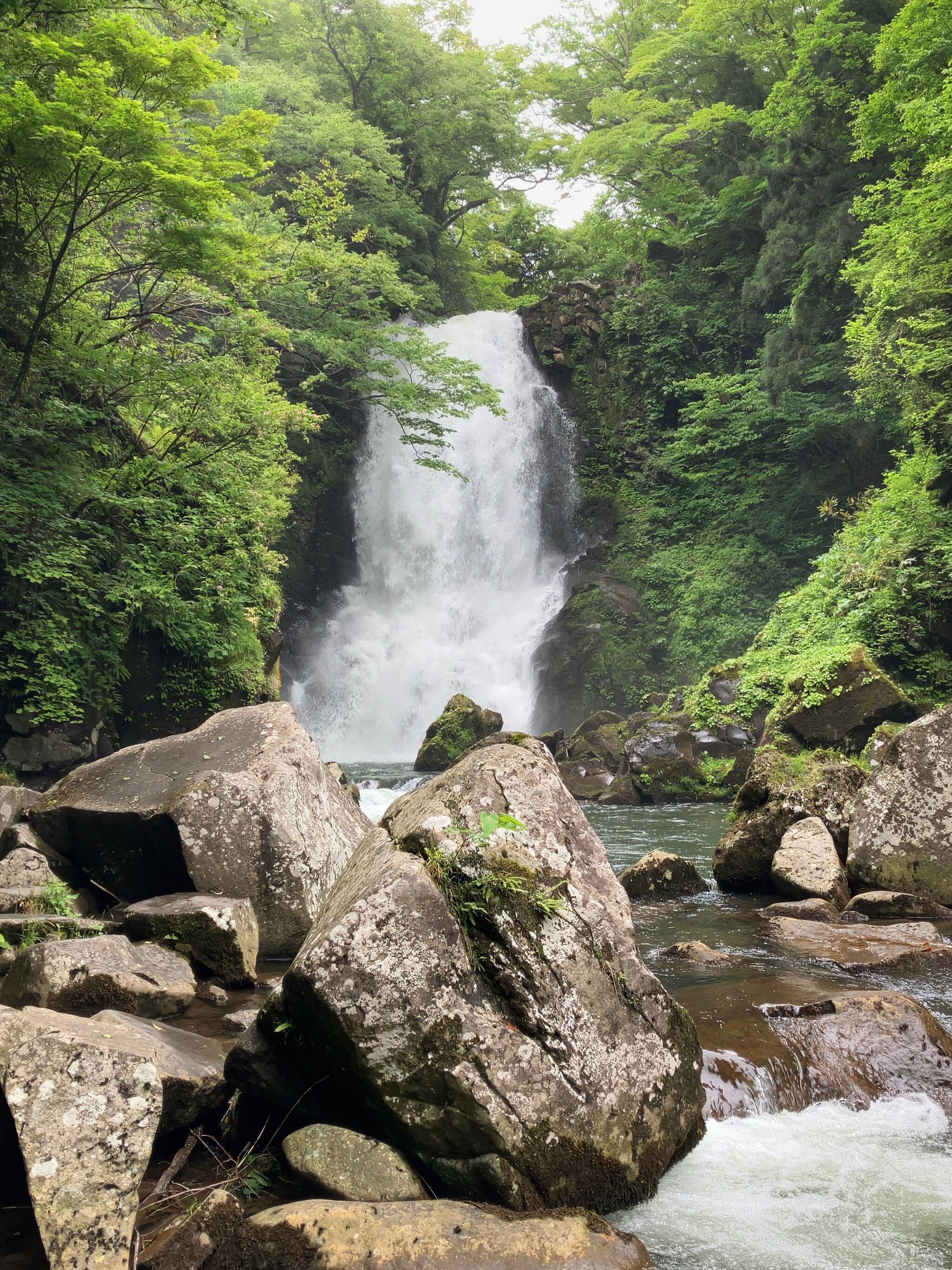 奈曽の白滝の代表写真5