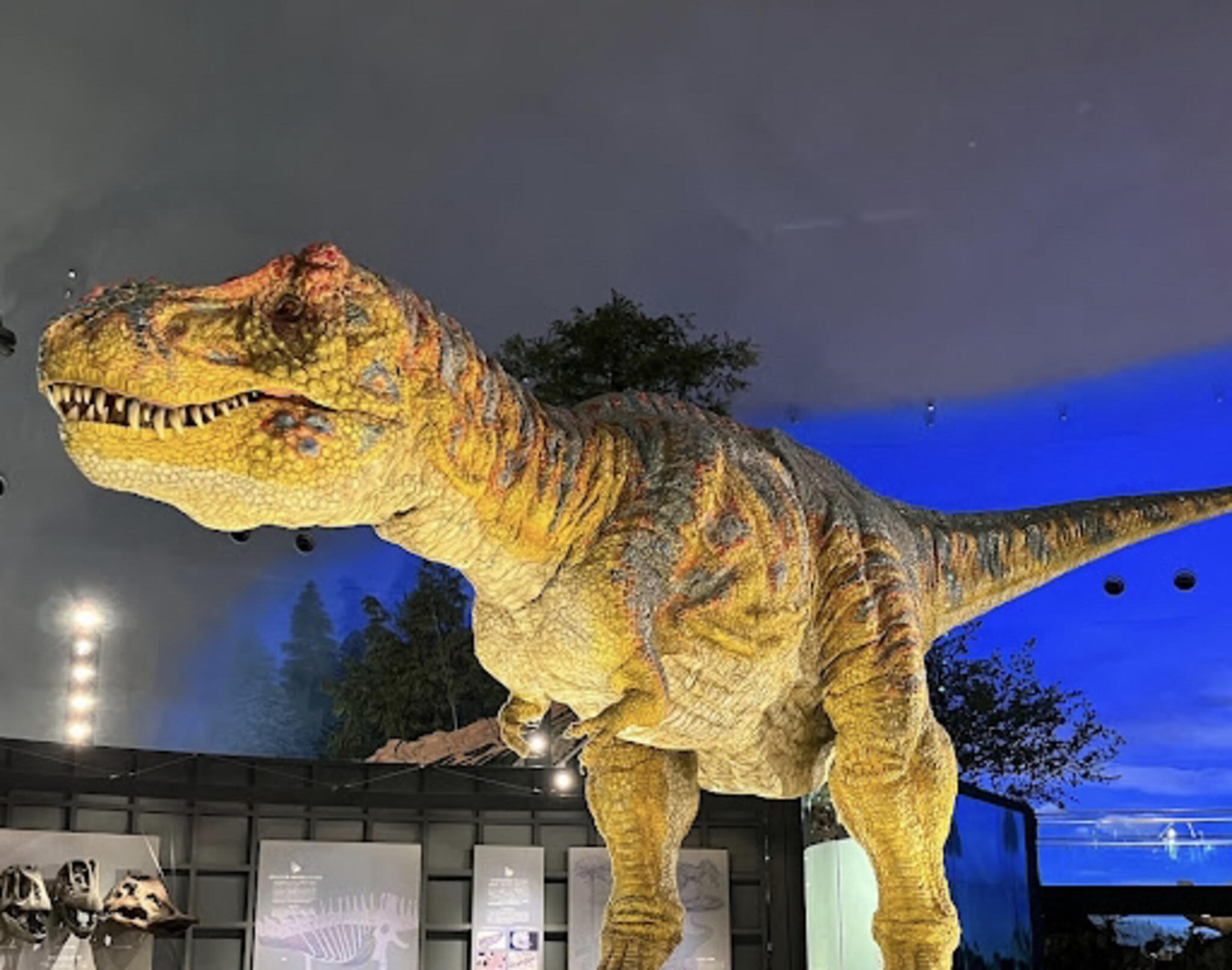 福井県立恐竜博物館の代表写真7