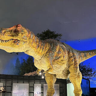福井県立恐竜博物館の写真7