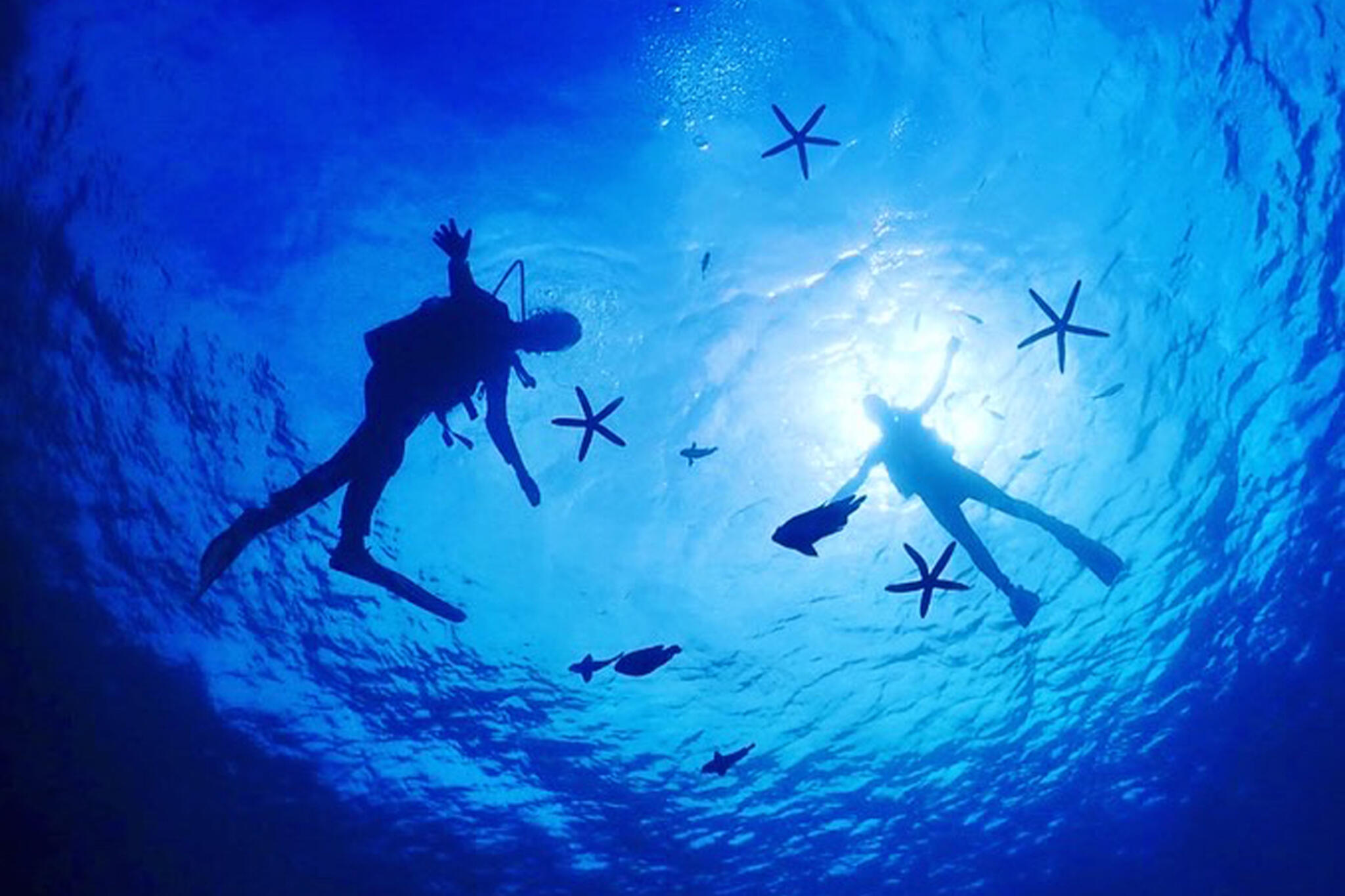 沖縄ダイビング 美ら海グーニーズの代表写真2