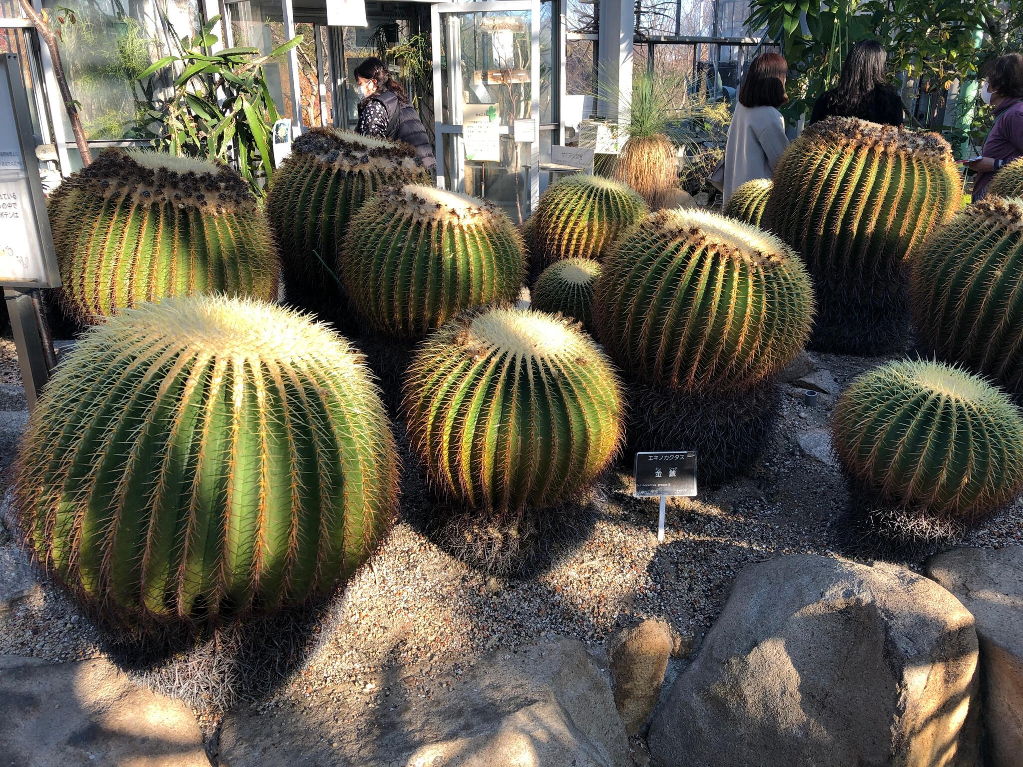 広島市植物公園の代表写真4