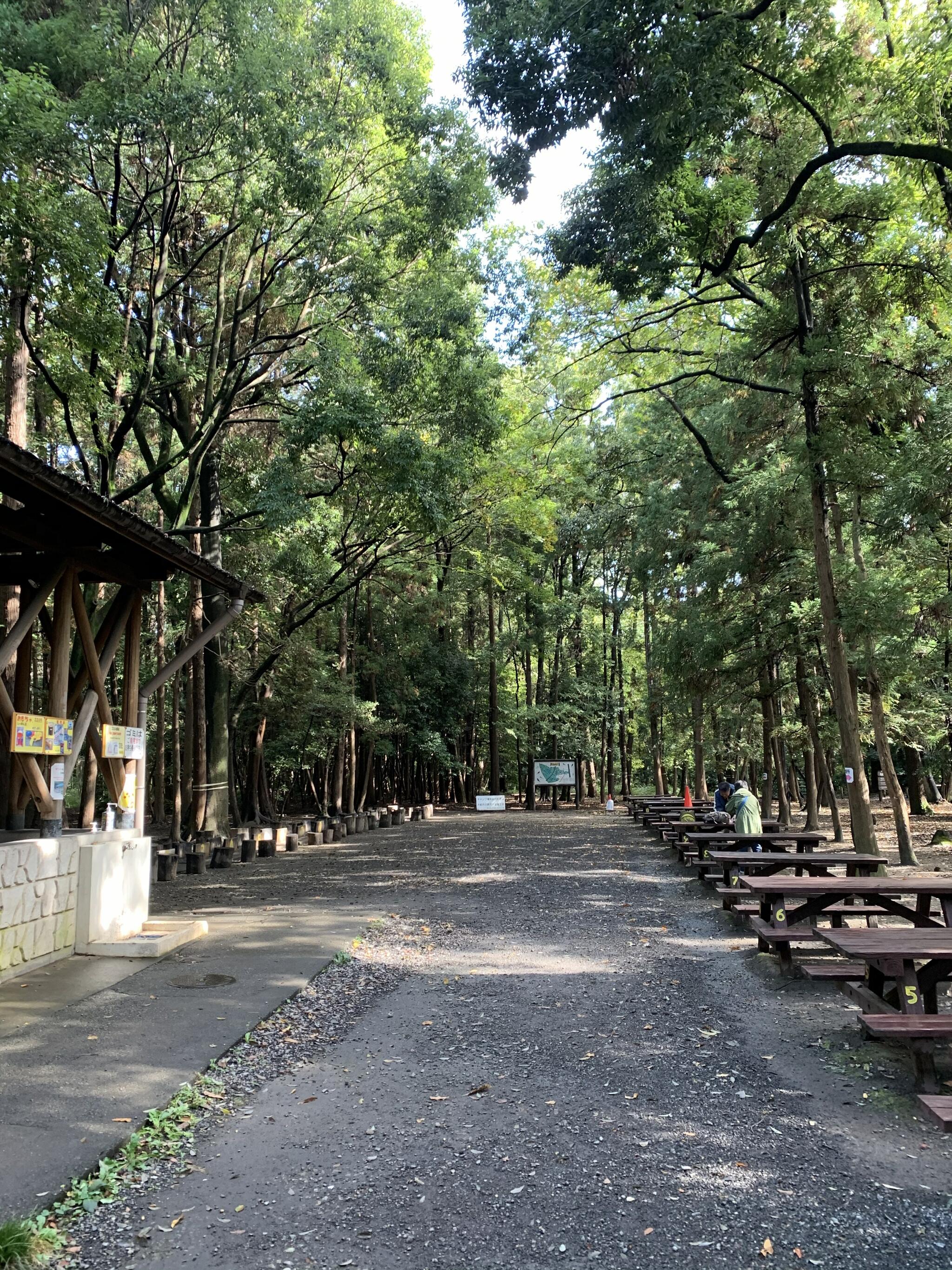 大和市泉の森ふれあいキャンプ場の代表写真7