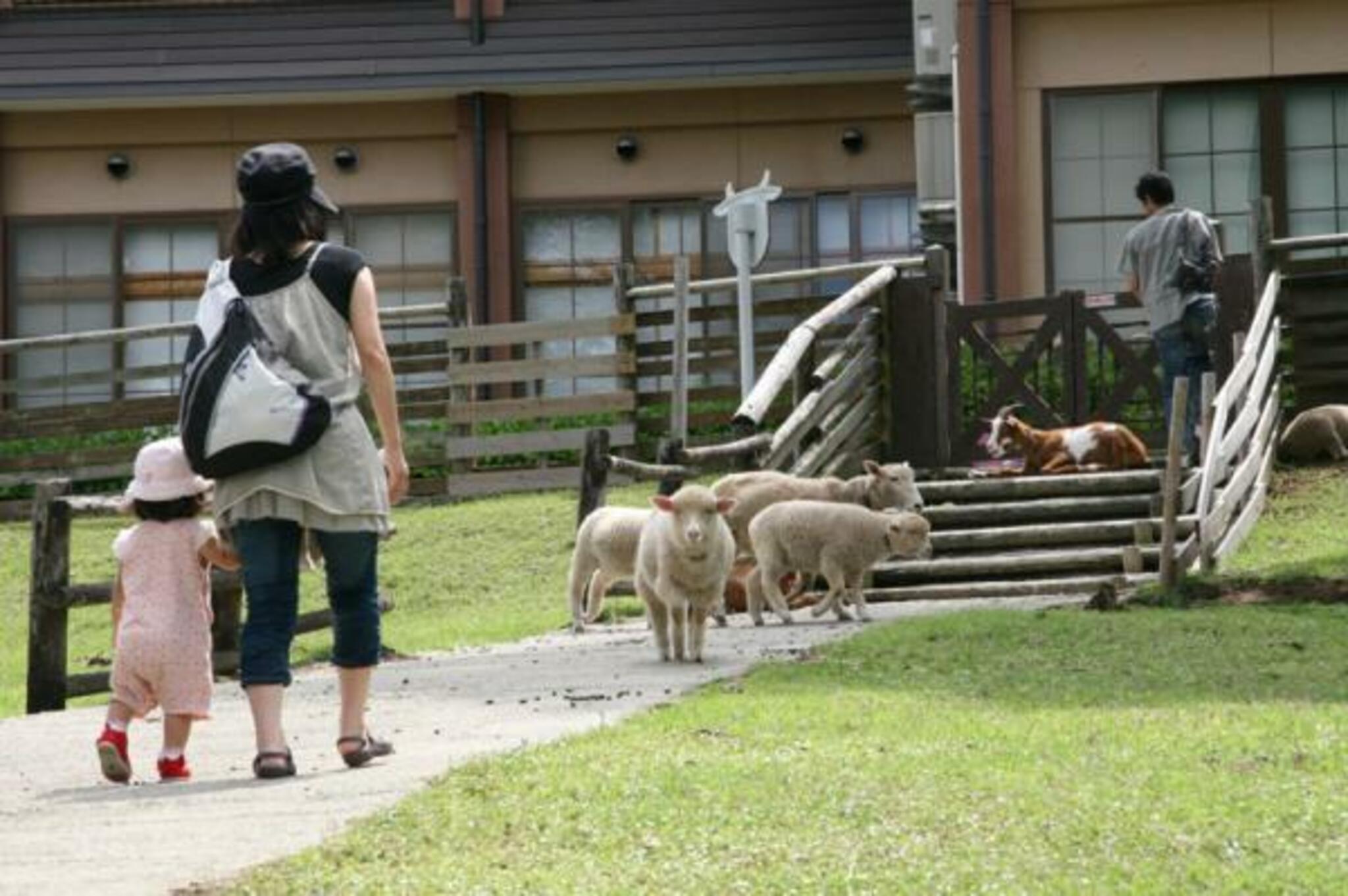 兵庫県立但馬牧場公園の代表写真10