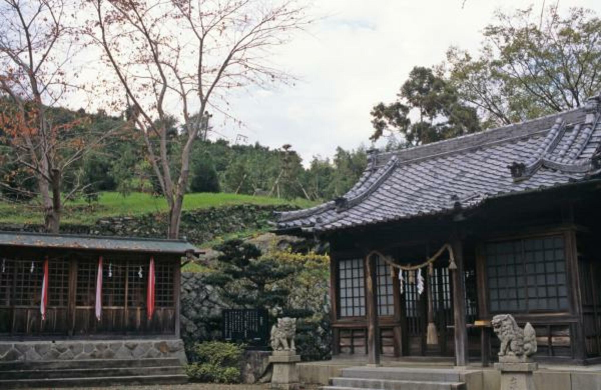 橘本神社の代表写真9
