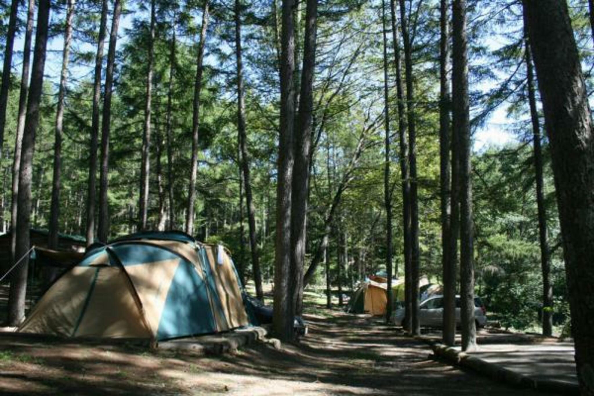大自然に抱かれたキャンプ場ウッドペッカーの代表写真6