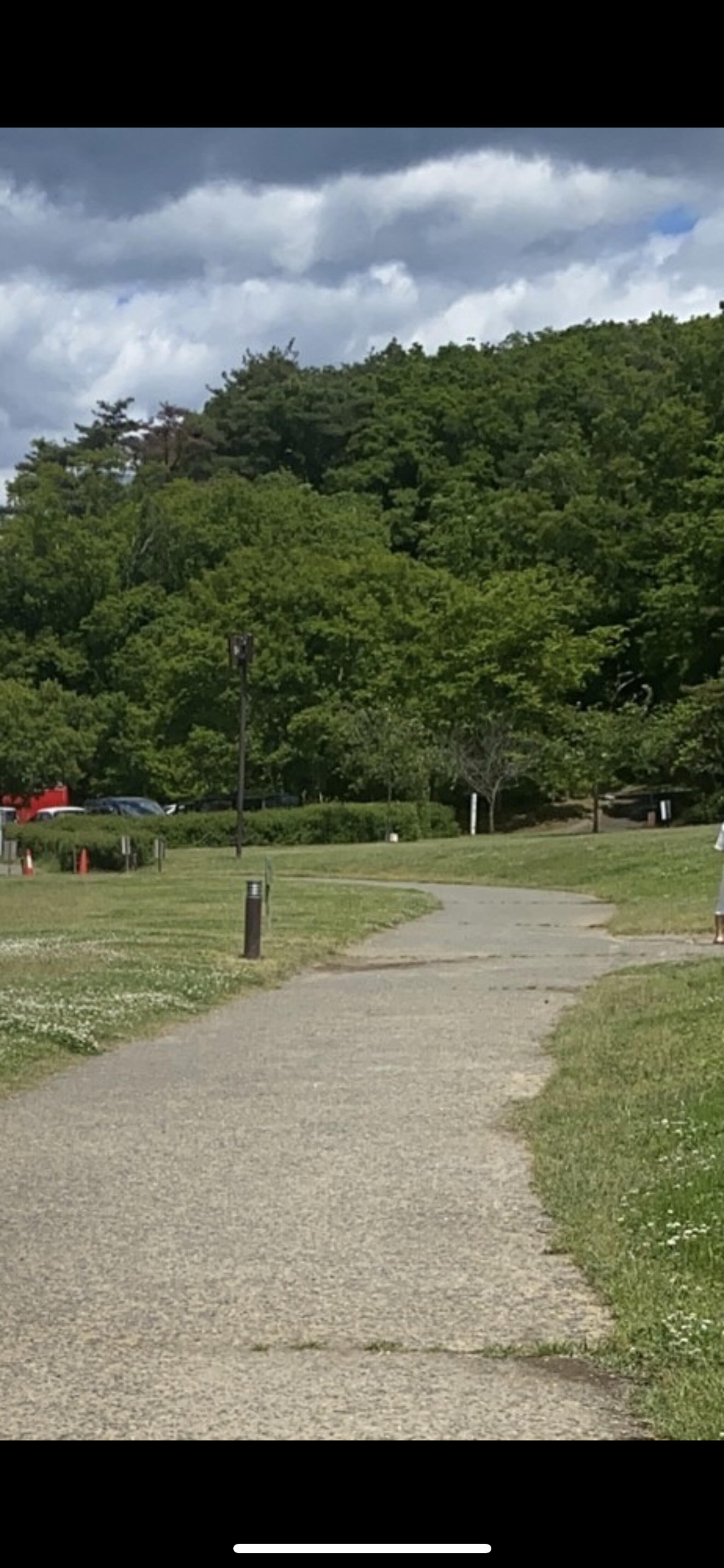 水の森公園キャンプ場の代表写真3