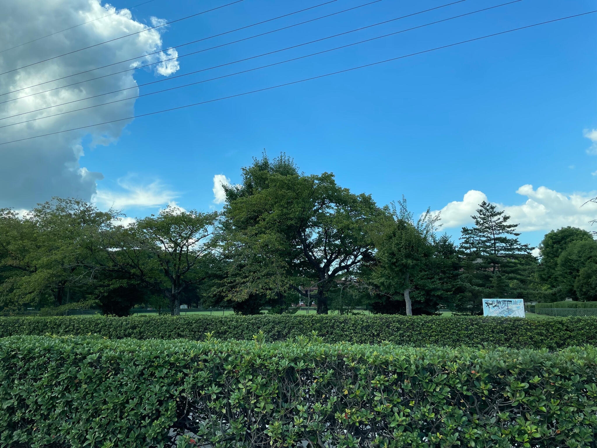 栃木市総合運動公園プールの代表写真2