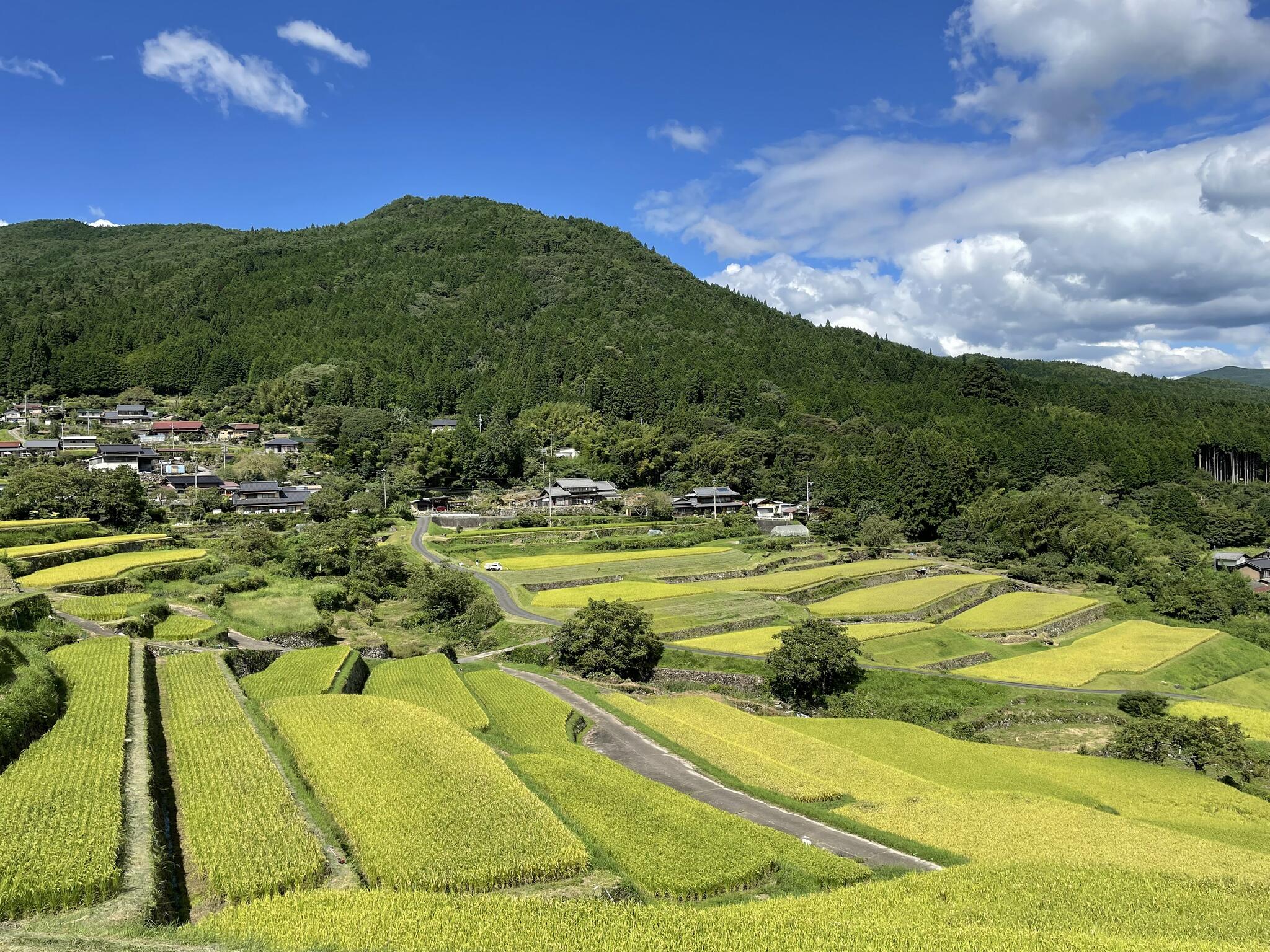 坂折棚田 - 恵那市中野方町/観光名所 | Yahoo!マップ