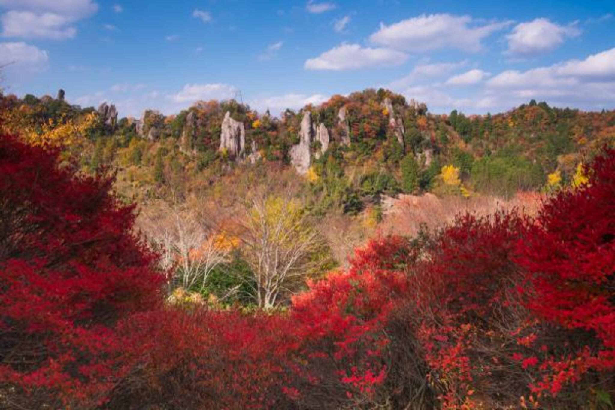 立羽田の景の代表写真8