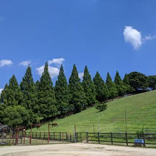 豊田市鞍ヶ池植物園の写真9