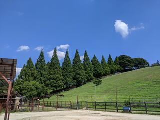 豊田市鞍ヶ池植物園のクチコミ写真1