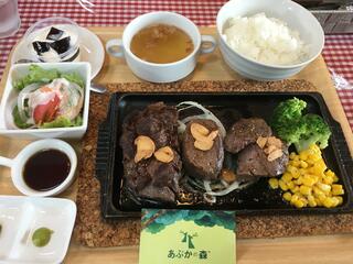 シカ肉レストラン あぷかの森のクチコミ写真1