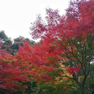 石盛山の写真3