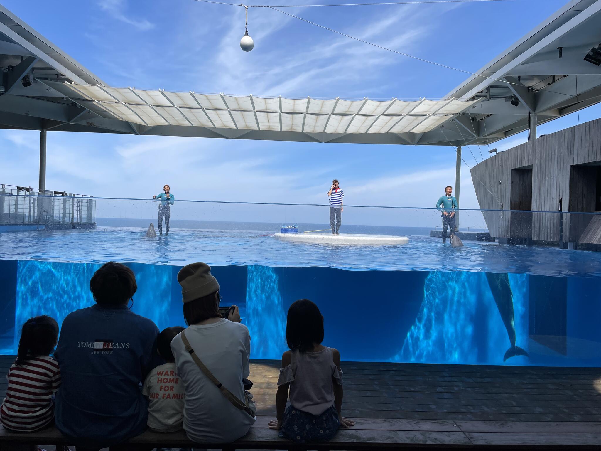 上越市立水族博物館 うみがたり - 上越市五智/水族館 | Yahoo!マップ