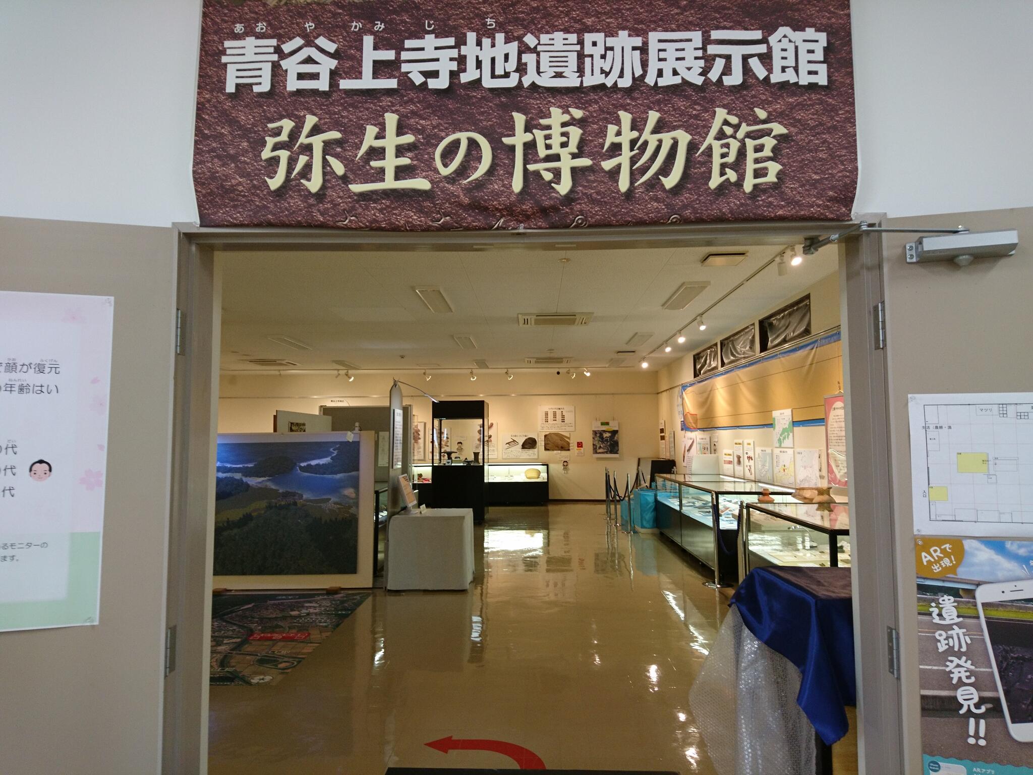 青谷上寺地遺跡展示館の代表写真1