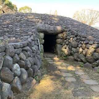 秦野市立はだの歴史博物館の写真4