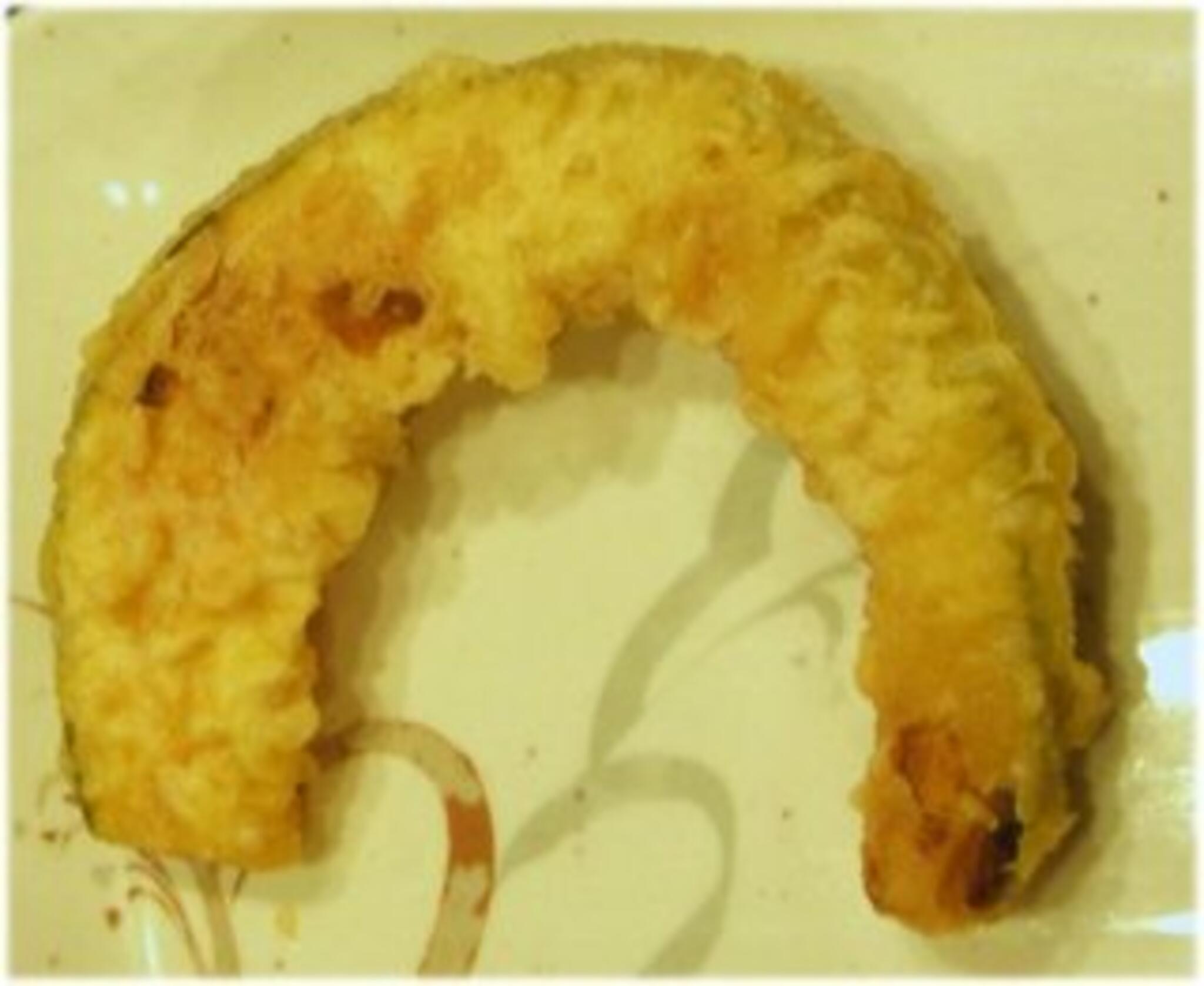 丸亀製麺 阪南の代表写真7