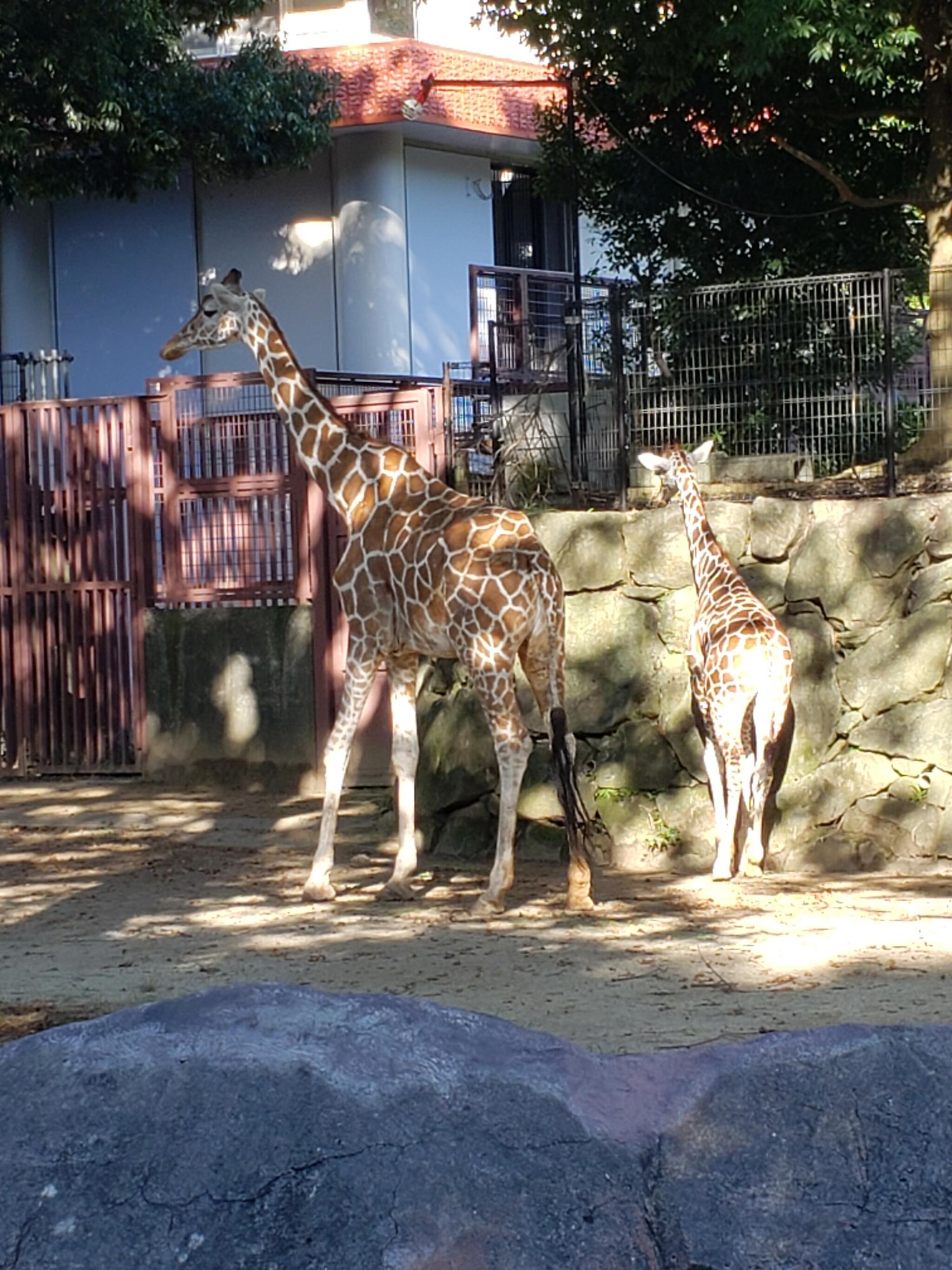金沢動物園の代表写真9