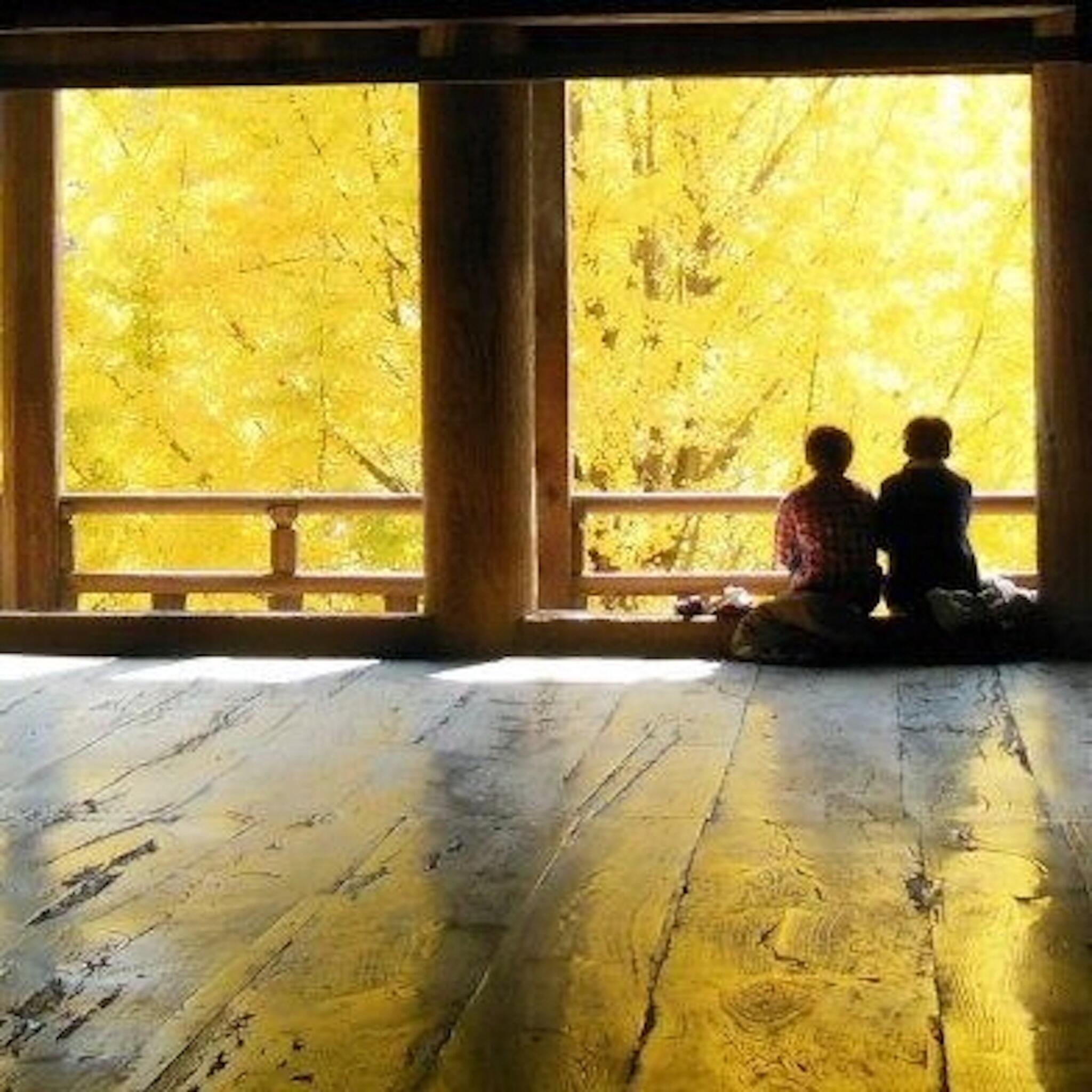 豊国神社の代表写真6