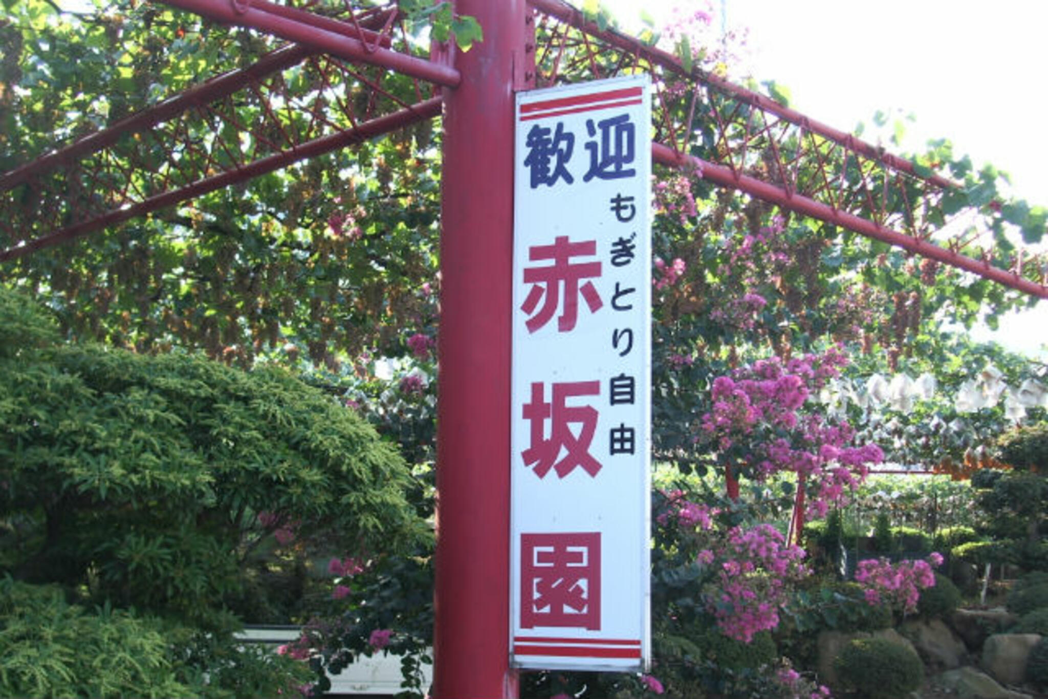 赤坂園の代表写真9