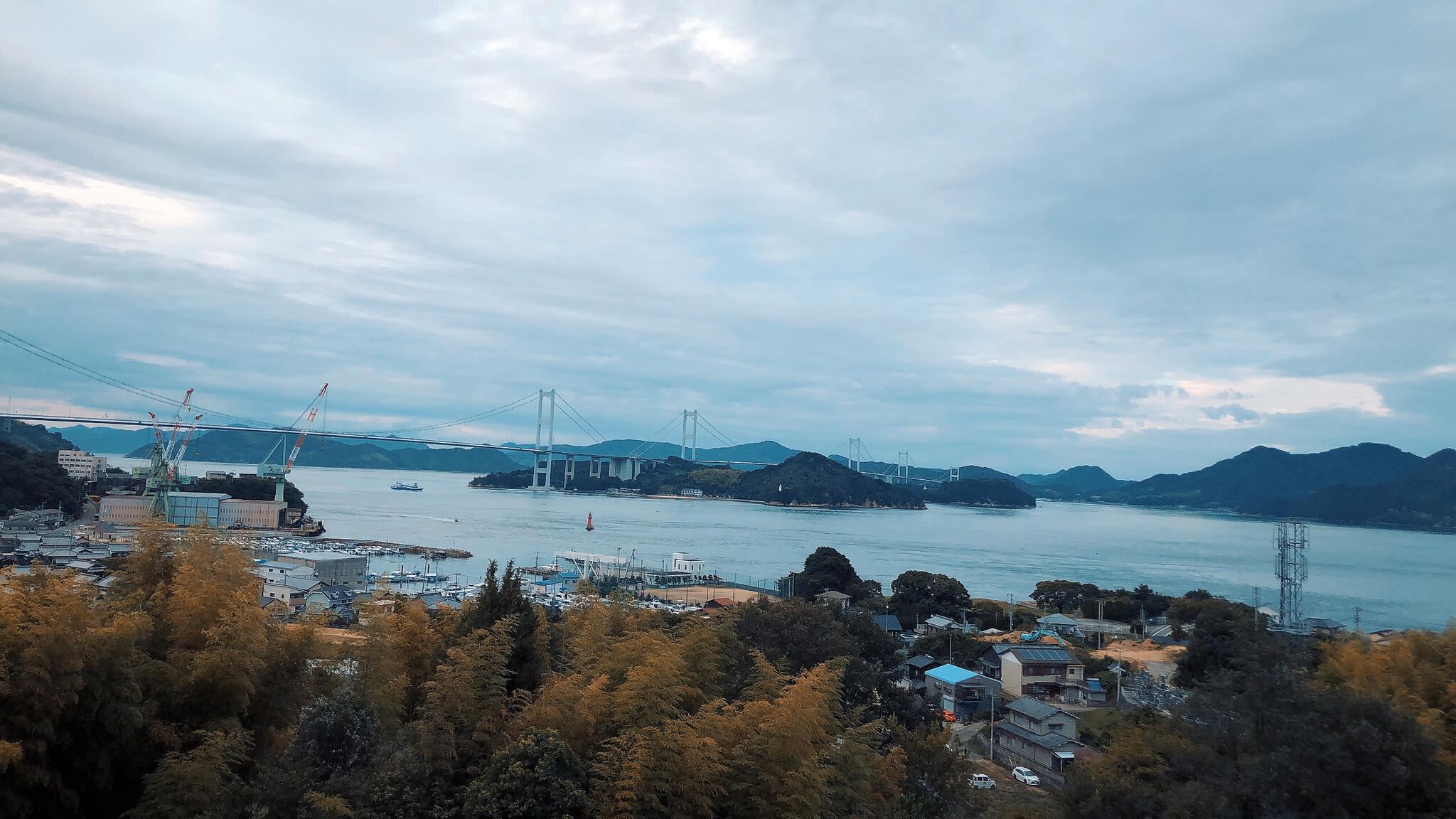 来島海峡サービスエリアの代表写真4